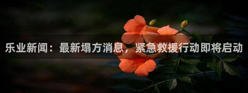 乐业新闻：最新塌方消息，紧急救援行动即将