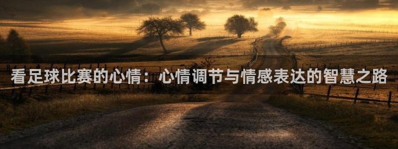 看足球比赛的心情：心情调节与情感表达的智