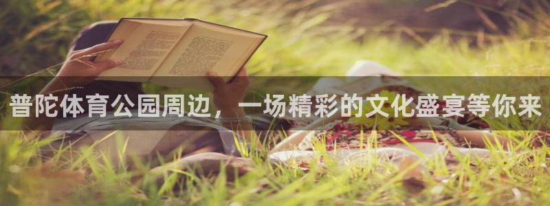 普陀体育公园周边，一场精彩的文化盛宴等你